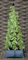 Terras Plantenzak voor Klimmers